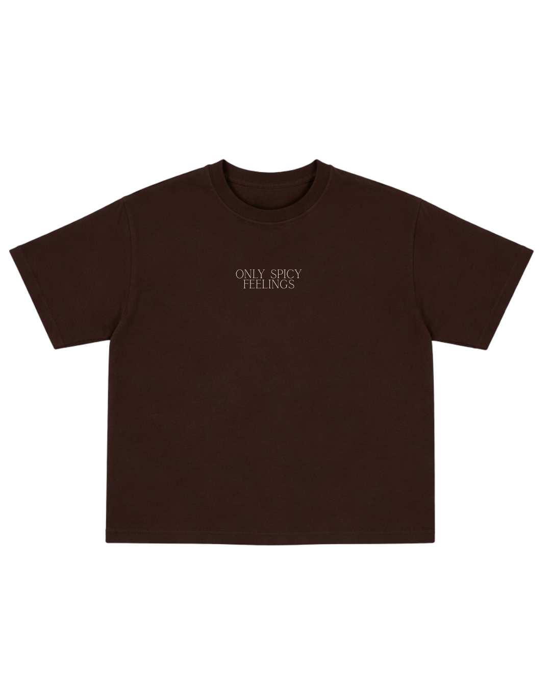 Spicy Love Oversized T-Shirt
